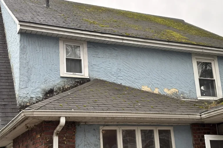 Blue stucco wall above a lower roof showing dark mold staining and moss growth along the roof-to-wall joint and window trim.