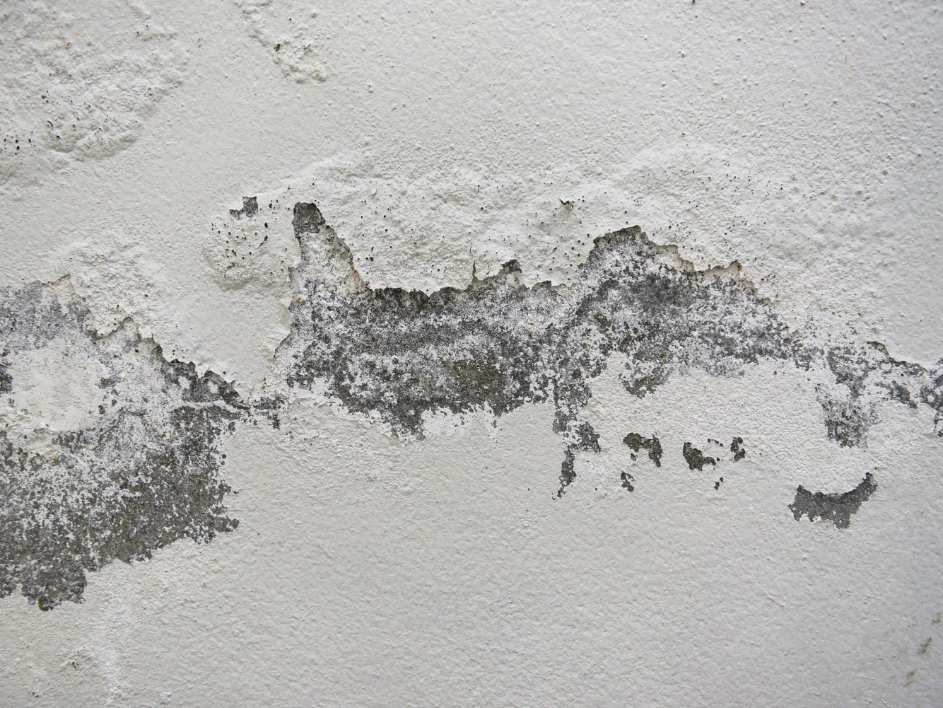 Closeup of white painted stucco with blistering, flaking paint and exposed gray substrate