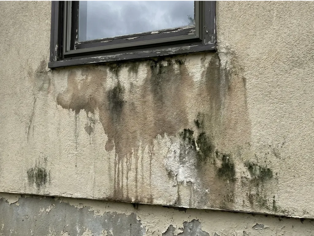 Stucco Repair in NJ: How to Fix Cracks, Damage & Prevent Costly Problems in 2026 4 Brown moisture stains and black mold growth on stucco wall beneath a window