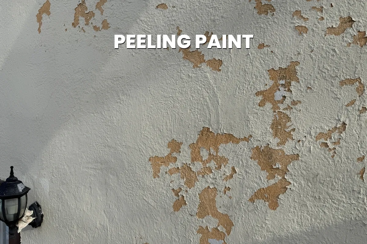 A wide shot of an exterior stucco wall with significant peeling paint, revealing the brown base layer underneath.