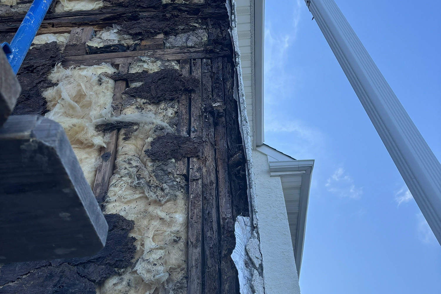 Close-up of severely rotted black framing studs and deteriorated insulation behind stucco exterior on a New Jersey house, showing advanced moisture wood decay